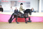 SBM_11875