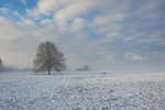 Cold snap Clifton Downs _B0167