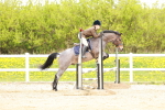 SBM_005253