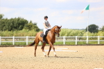 SBM_002210