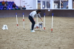SBM_005919