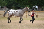 WJ6_8521