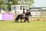 SBM_11017