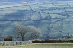 Swaledale, Yorkshire Dales