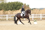 SBM_010815