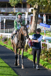 121024-Race 6-Gibside-3478
