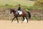 SBM_001437