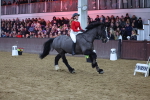 SBM_004271
