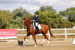SBM_006219