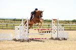 SBM_006516