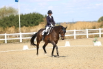 SBM_013910