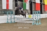 BPP_3613