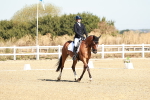 SBM_016921