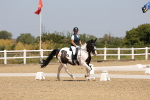 SBM_004269