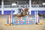 SBM_003388