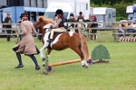 SBM_08239