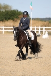 SBM_013536