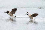 20150523-8E0A8984