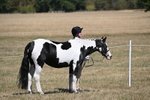 WJ6_8553