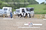 BPP_9905
