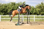 SBM_003851
