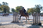 SBM_16019