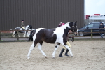 SBM_008040