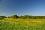 Siemianówka area, Poland