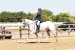 SBM_001593