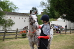WJ6_5118