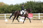 SBM_008524