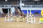 SBM_001003