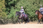 WJ6_7912