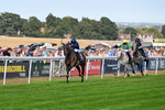 130826-Race 5-Wardlaw-9452