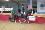 SBM_06019