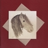 Horse greetings card
