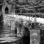 1224 - Cong Abbey Footbridge