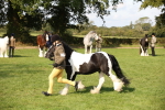 SBM_62228