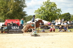SBM_41377