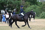 WJ7_1169