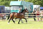 SBM_02261