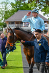 230526-Race 6-Pearl River-7881