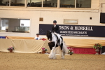 SBM_09278