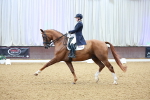 SBM_007797