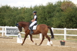 SBM_010612