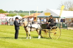 SBM_02642
