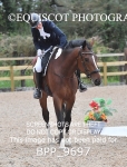 07TH SEPT 2025 - DRESSAGE - MUIRMILL EC portfolio