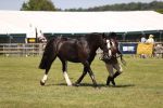 SBM_17926