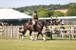 SBM_18740