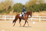 SBM_017528